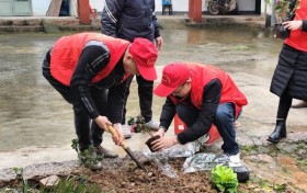 高明镇学雷锋活动：用爱编织社会温暖网